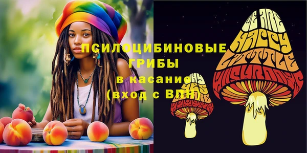 кокс Алексин
