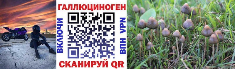 Псилоцибиновые грибы Cubensis  купить наркоту  blacksprut рабочий сайт  Арск 